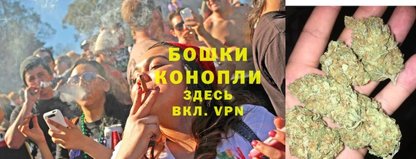 трава Белокуриха