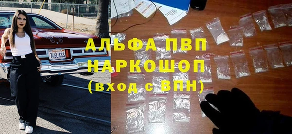 трава Белокуриха