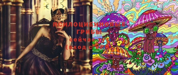 трава Белокуриха