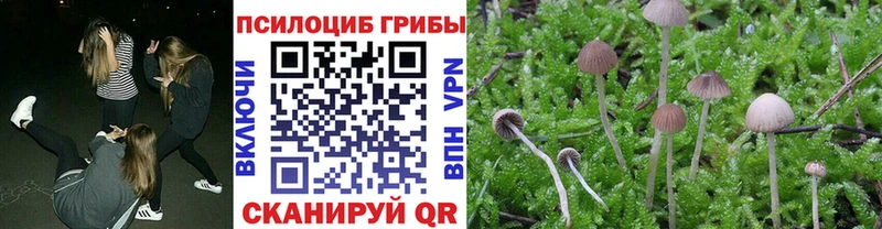 Галлюциногенные грибы мухоморы  MEGA зеркало  Ясногорск 